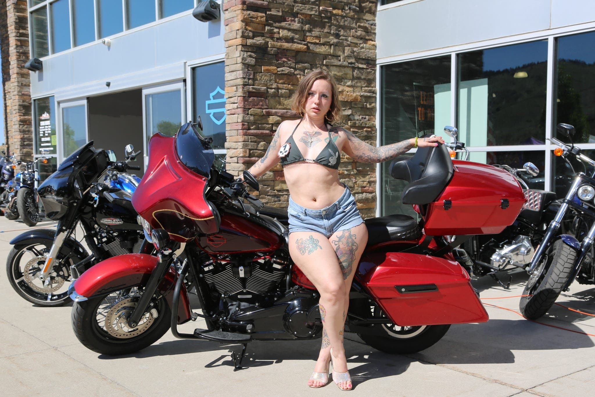 shelby_0a250375